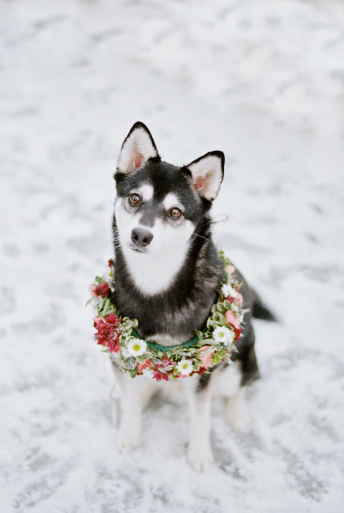 Ice Styled Shoot | Flowers by Paper Peony Alaska, Photos by Sara Olivia Photographer